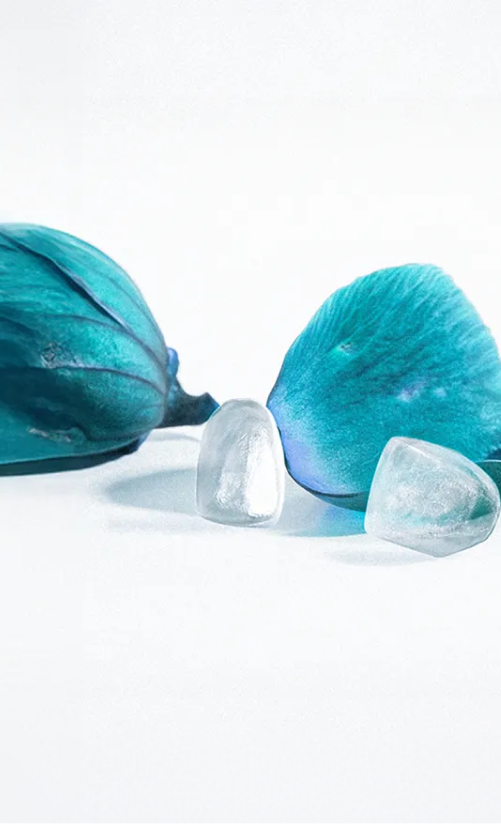 블랑쉬치과 진료 철학을 상징하는 수술모자 이미지