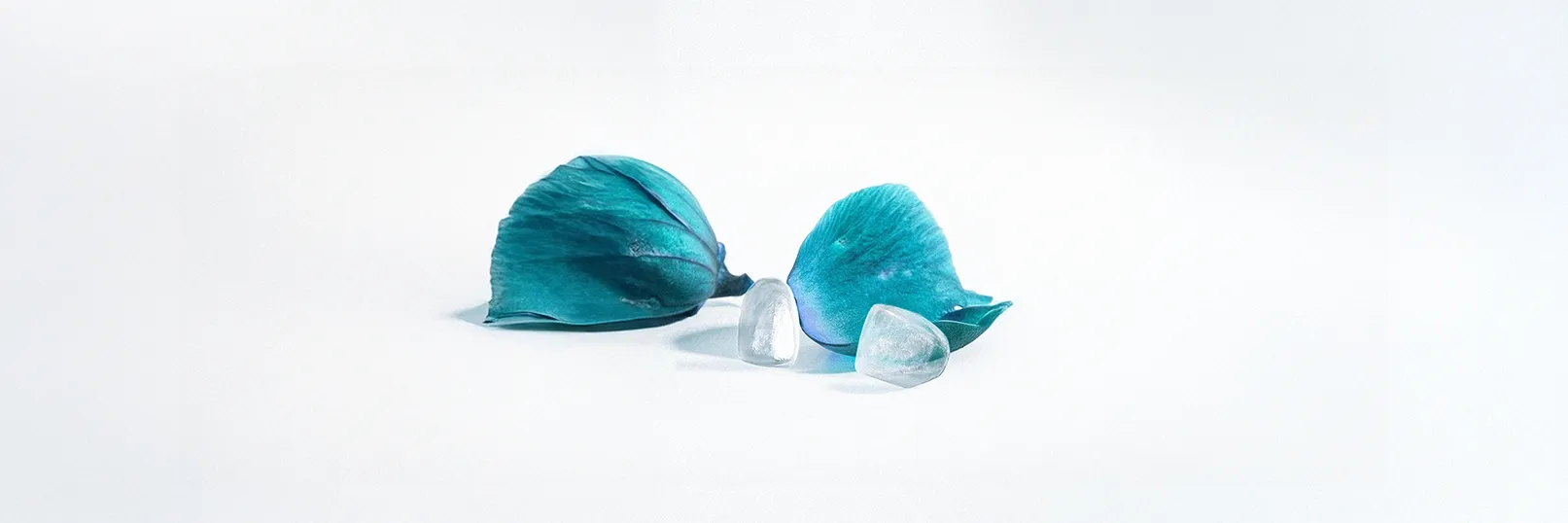 블랑쉬치과 진료 철학을 상징하는 수술모자 이미지